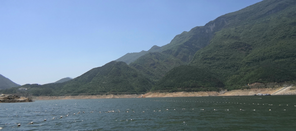 重庆雪湖鱼,重庆雪湖鱼生态农业发展有限公司
